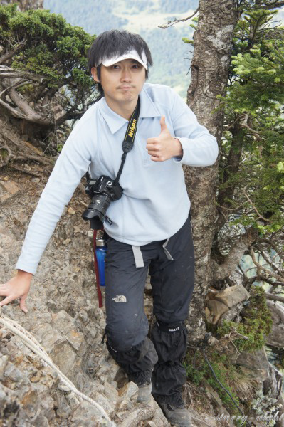 武陵四秀
