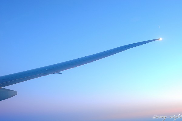 飛機上